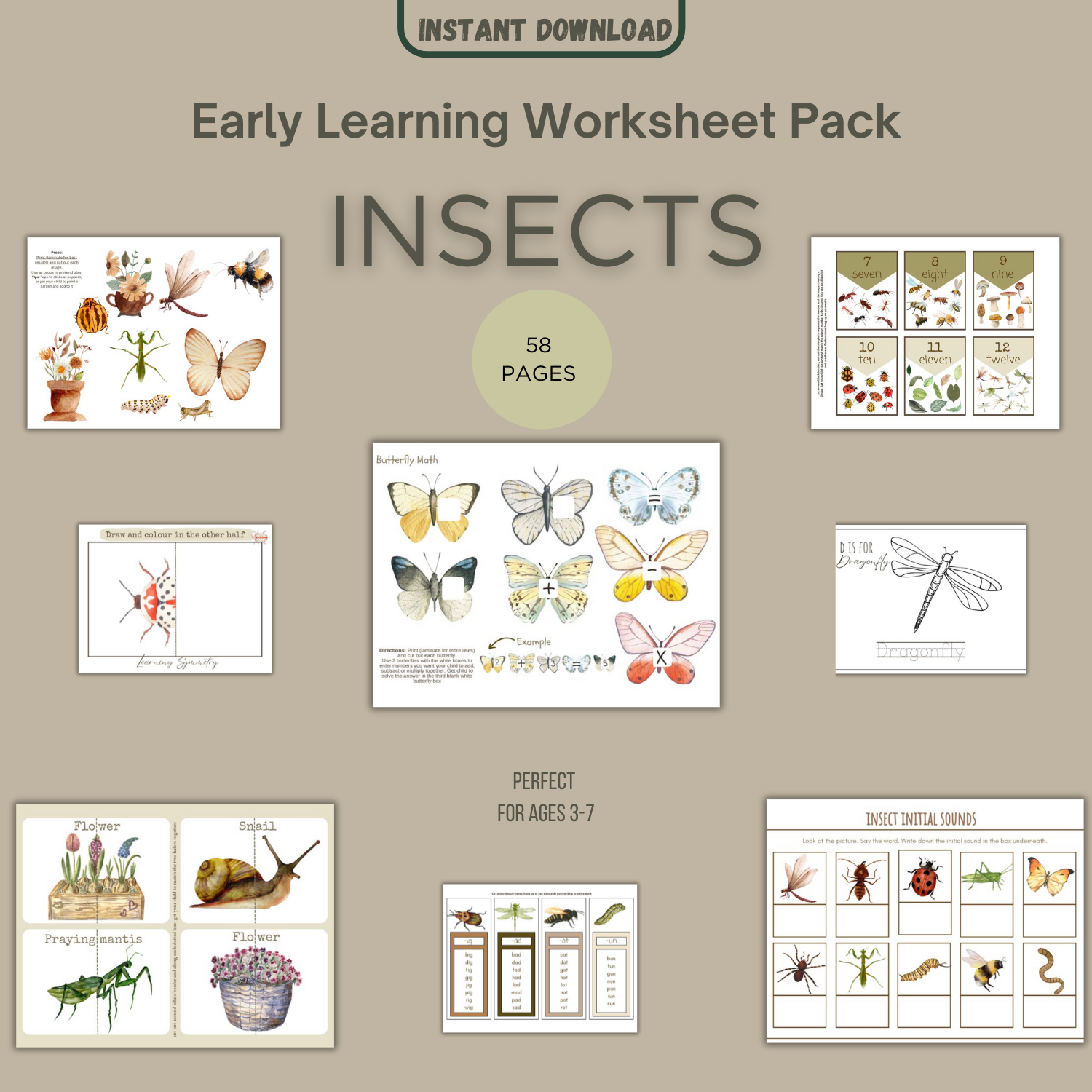 Insects Packet Insects Education Pack – Bored to Brilliant